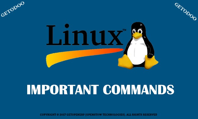 Important Linux Command